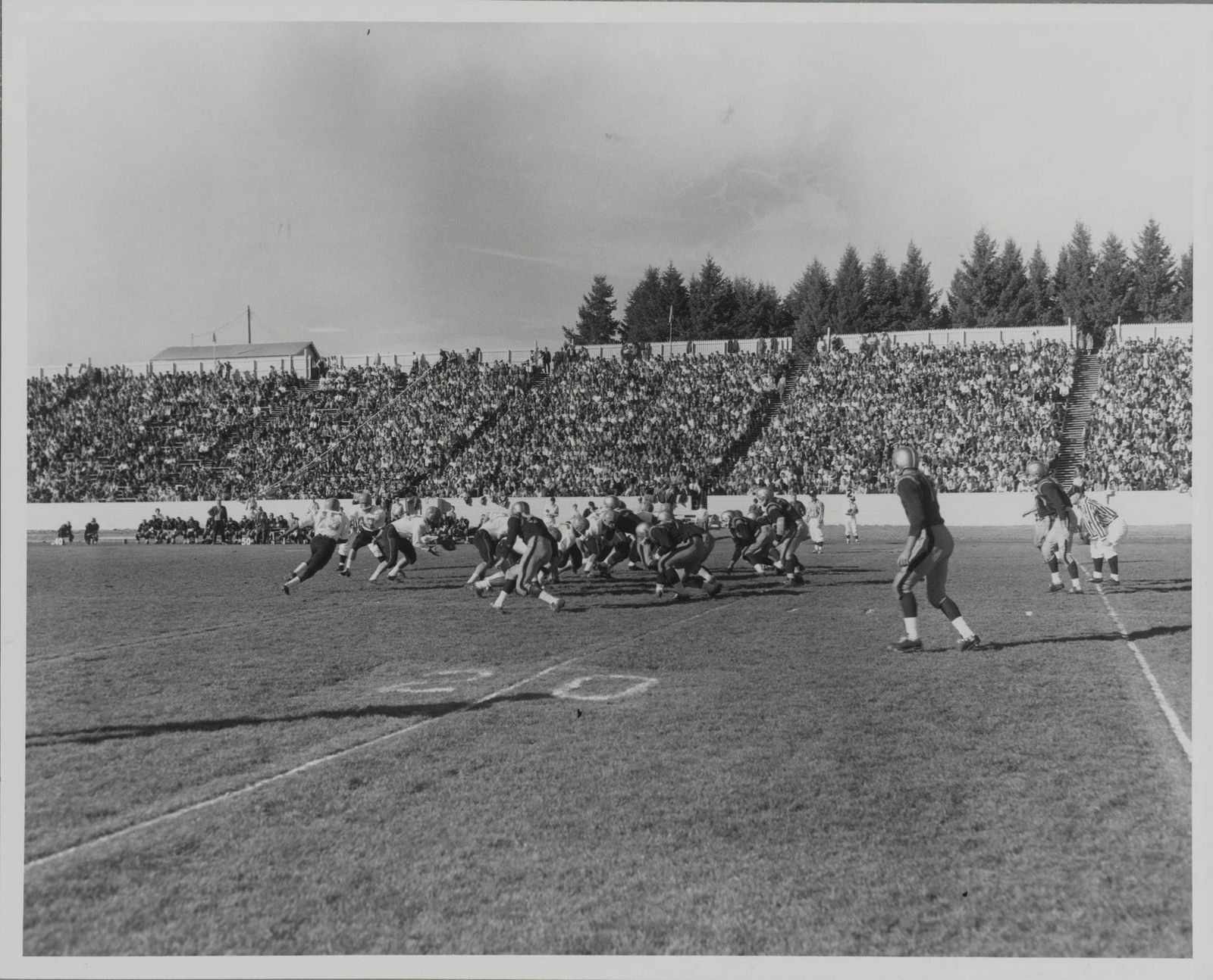 1961 Homecoming Football game, University of Idaho (20) vs. San Jose State (22) In-game action [02]