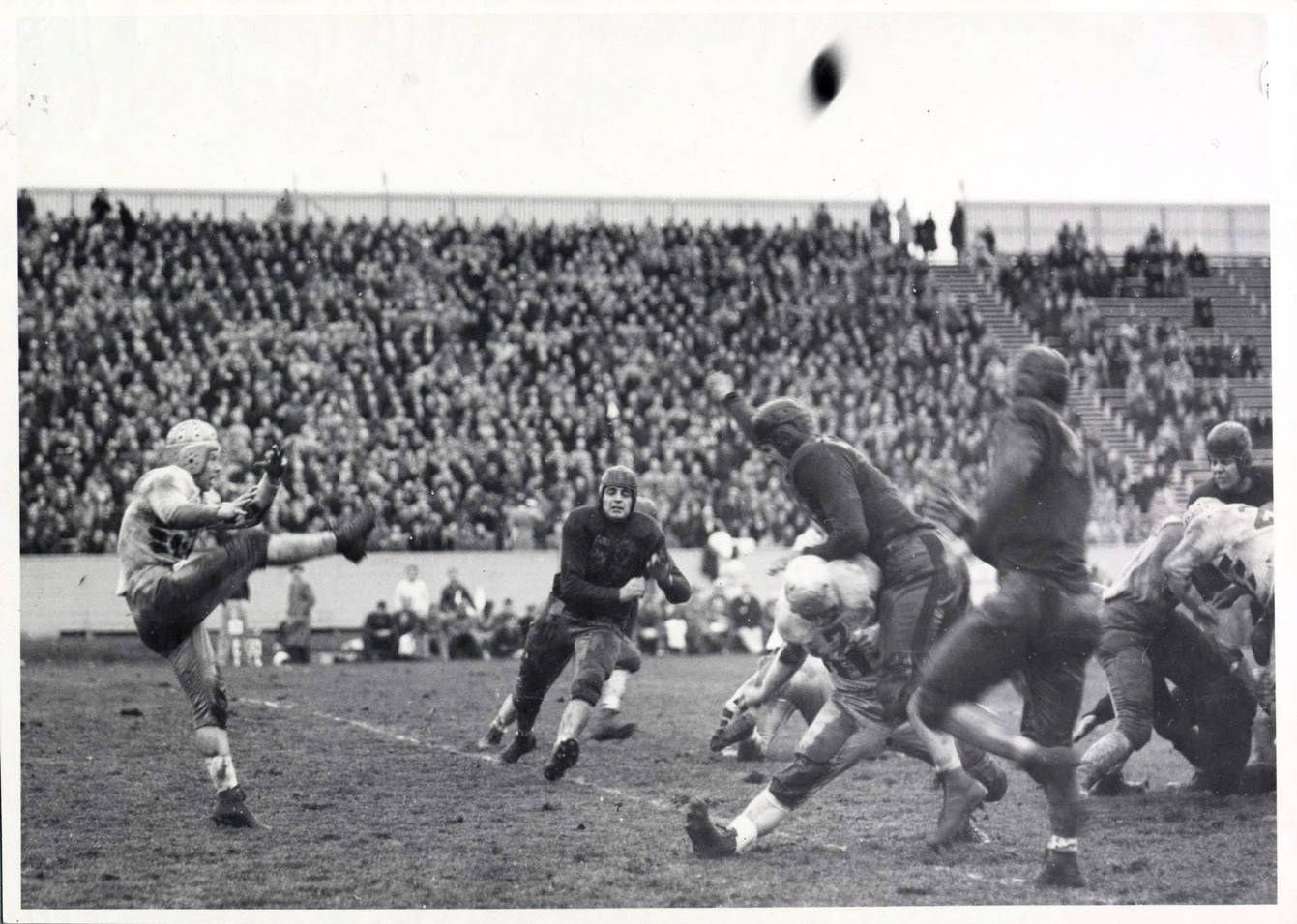 Idaho vs. Montana football game