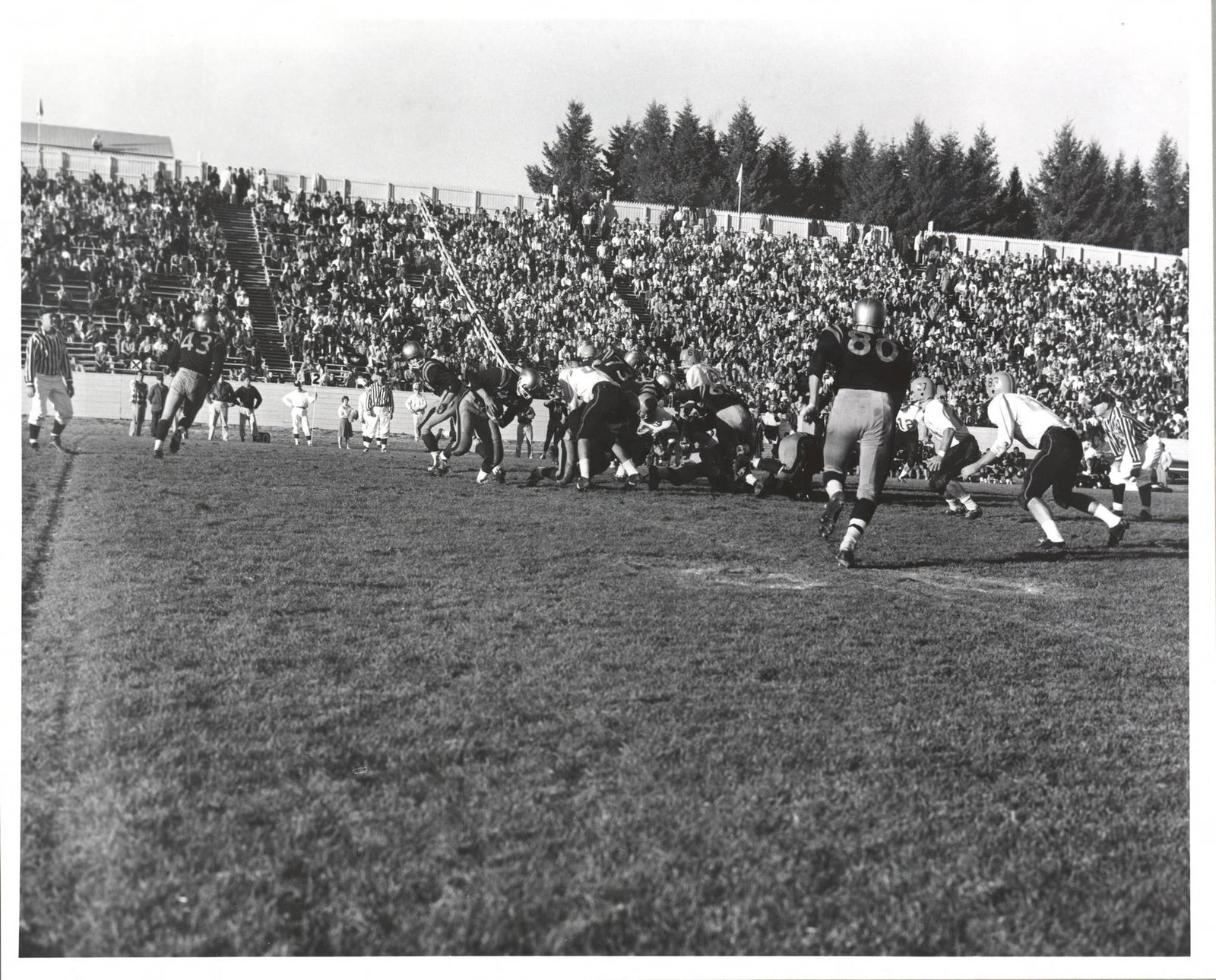 1961 Homecoming Football game, University of Idaho (20) vs. San Jose State (22) In-game action [12]