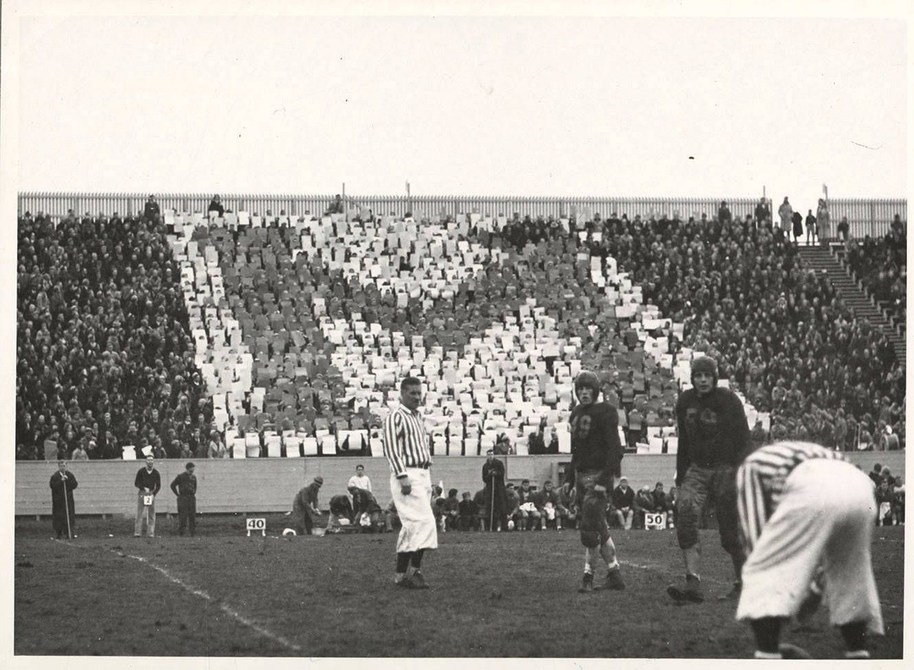 Card section of audience at a football game [01]