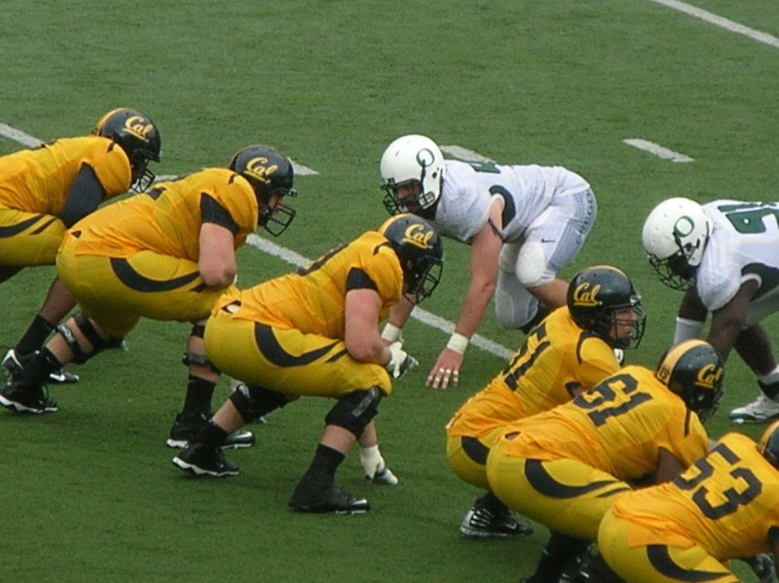 The Bears on offense at a Cal home game in the rain against the Oregon Ducks. The Golden Bears won 26-16.
