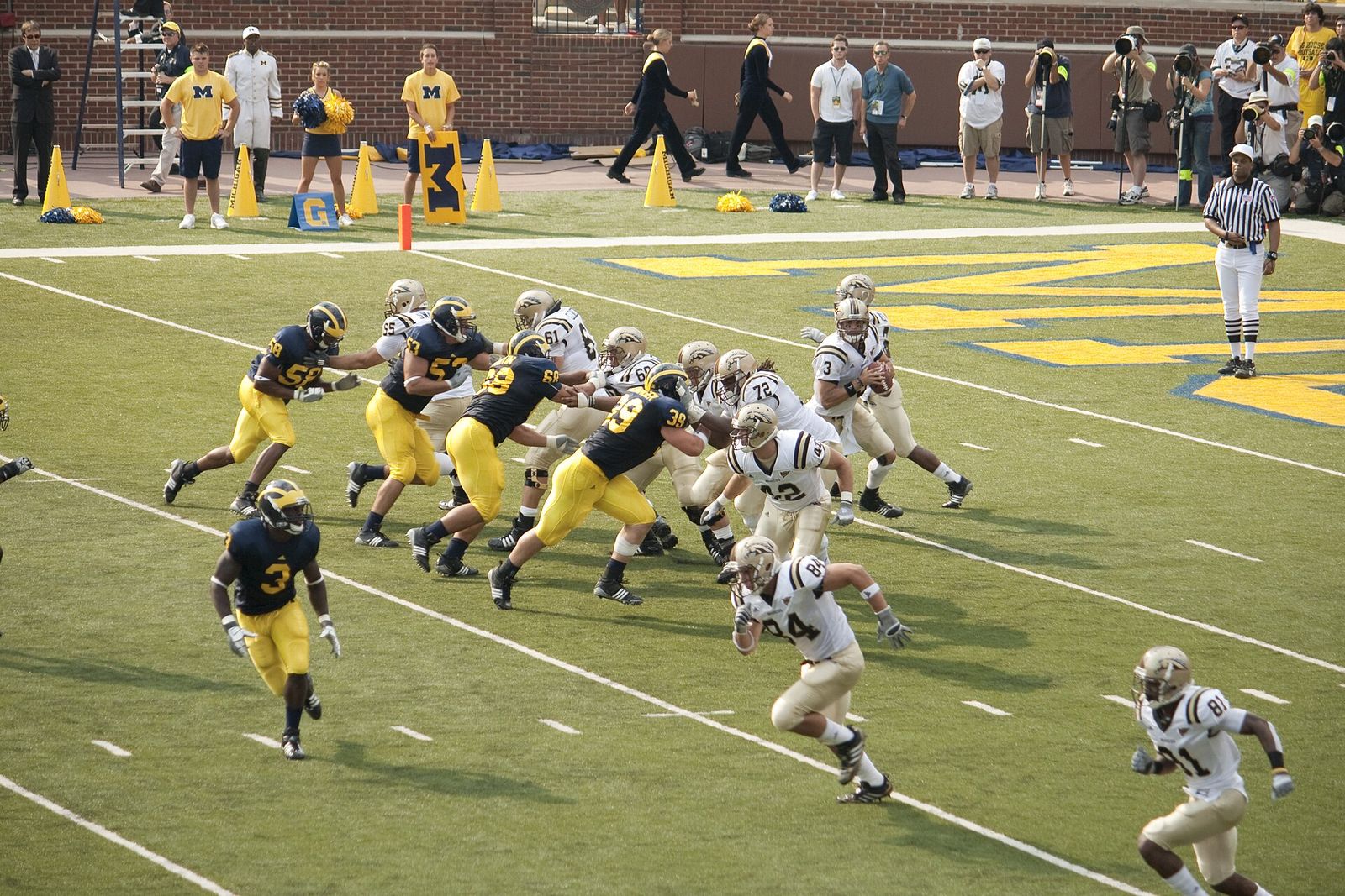 Tim Hiller drops back for a pass while Stevie Brown drops back in coverage.