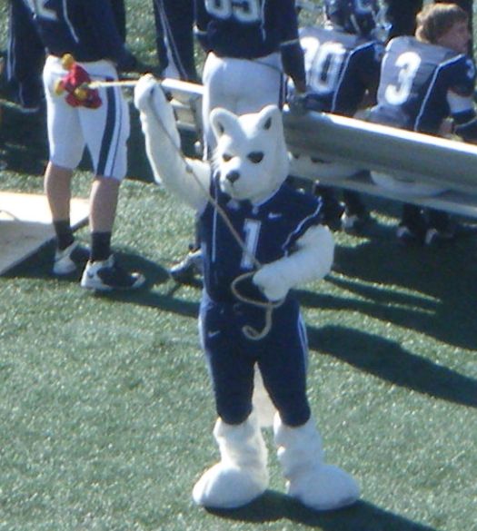 Connecticut mascot Jonathan swings around a toy Gamecock behind the UConn bench during the 2010 PapaJohns.com Bowl.