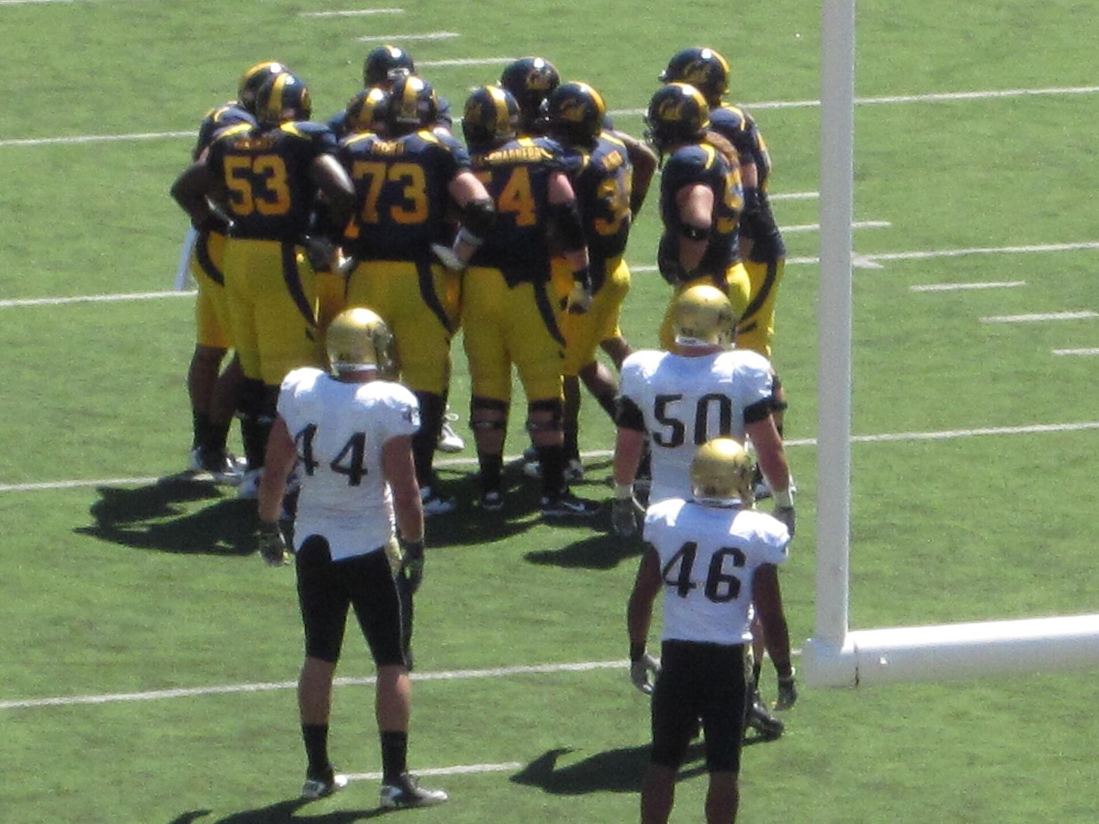 Cal in a huddle during a home game against the Colorado Buffaloes. The Golden Bears won 52-7.