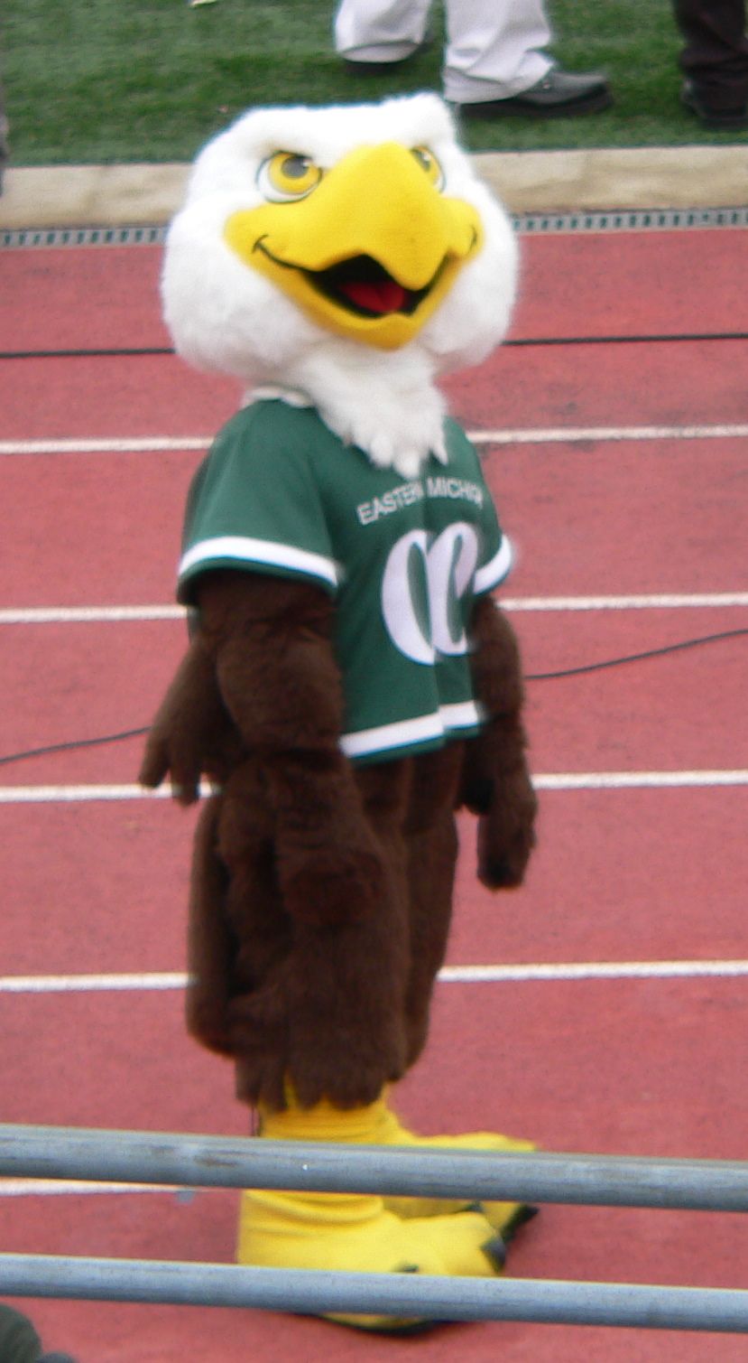 This file was uploaded with Commonist. "Swoop", the EMU mascot, at the 2010 homecoming football game against the Ohio Bobcats.