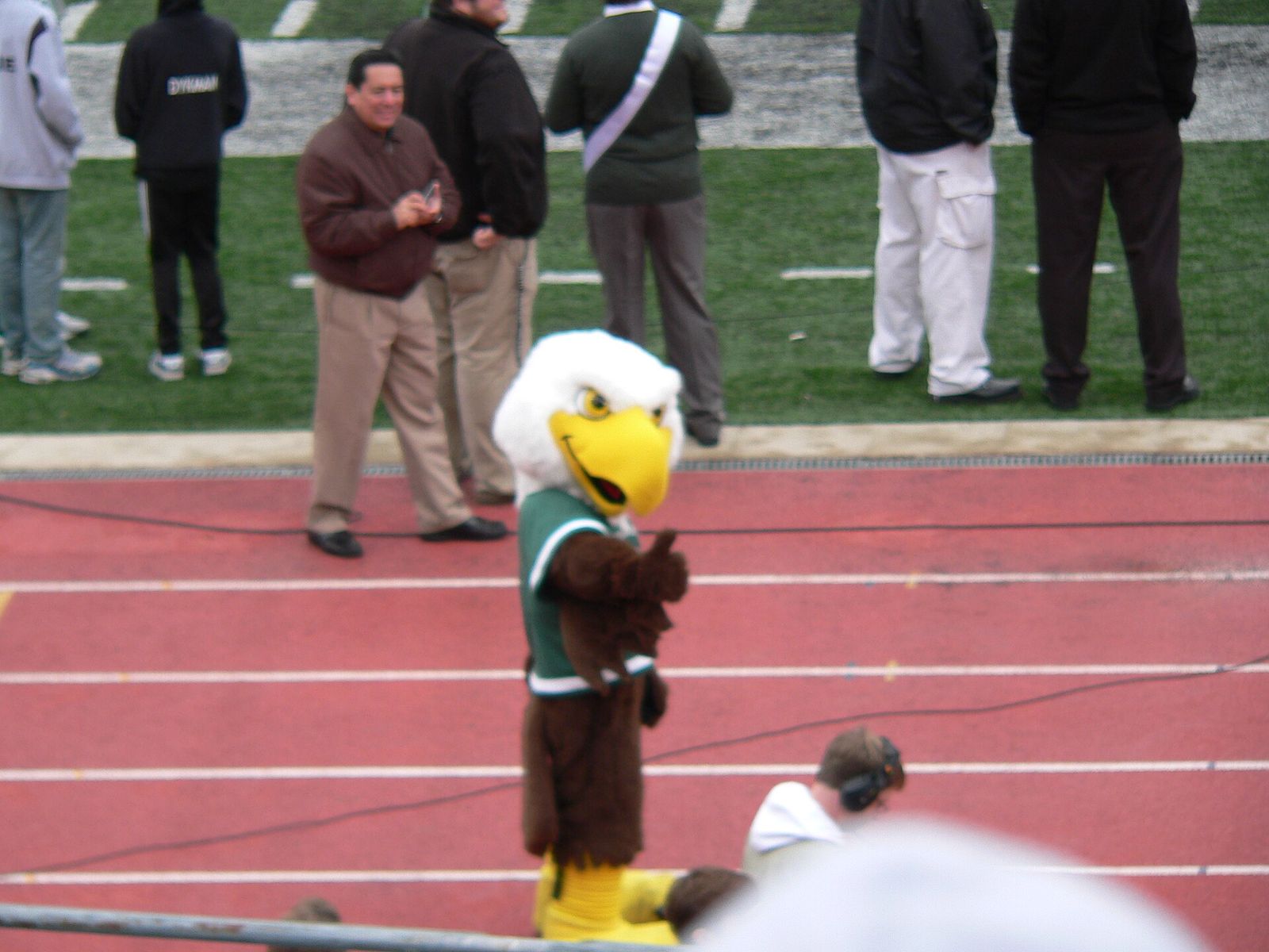 This file was uploaded with Commonist. "Swoop", the EMU mascot, at the 2010 homecoming football game against the Ohio Bobcats.