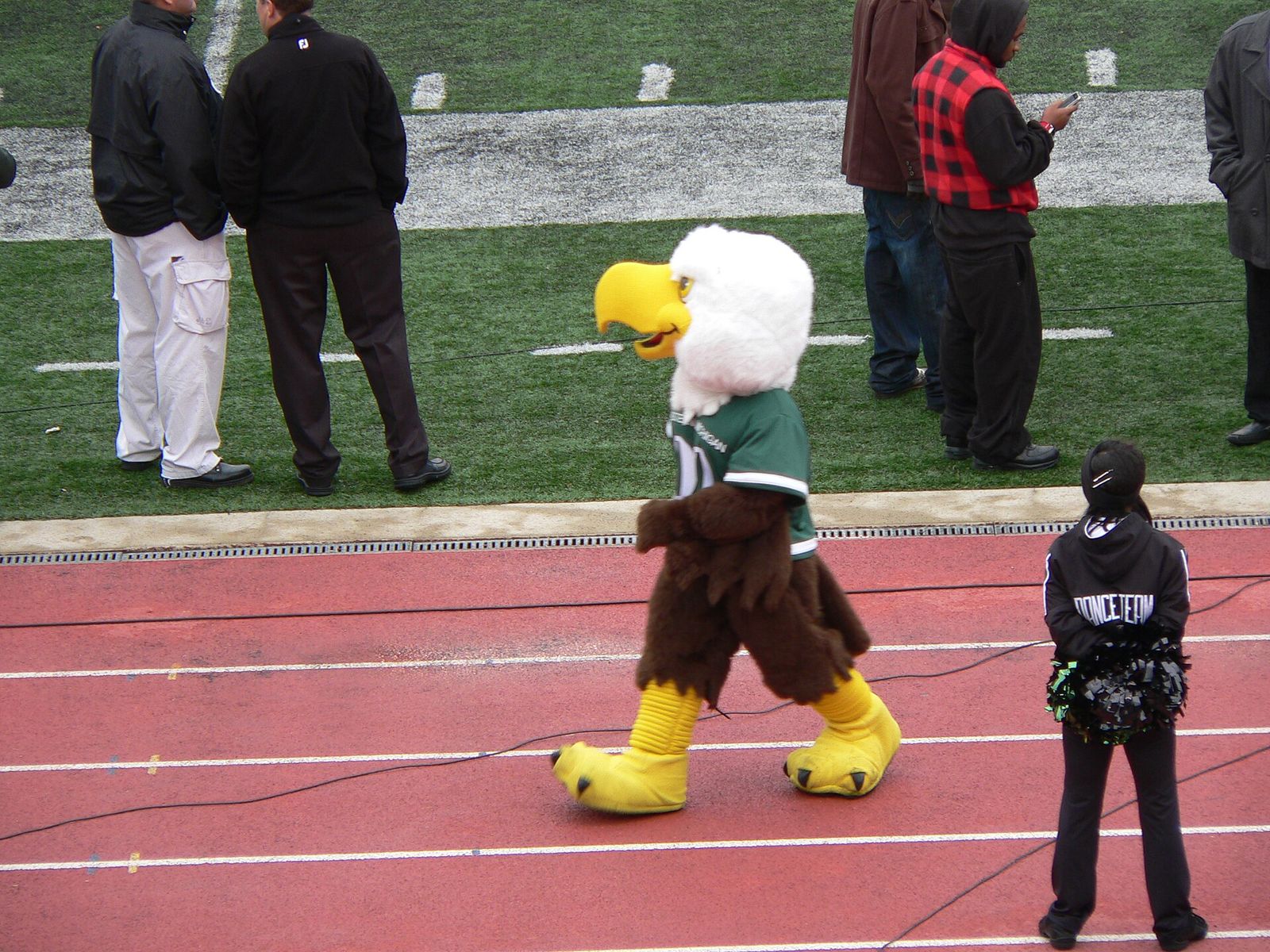 This file was uploaded with Commonist. "Swoop", the EMU mascot, at the 2010 homecoming football game against the Ohio Bobcats.