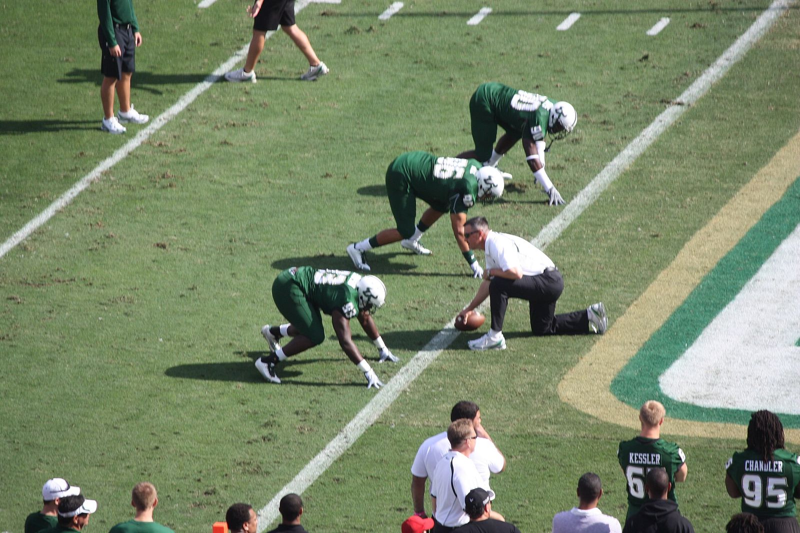 South Florida Bulls vs Pittsburgh Panthers, 20 November 2010