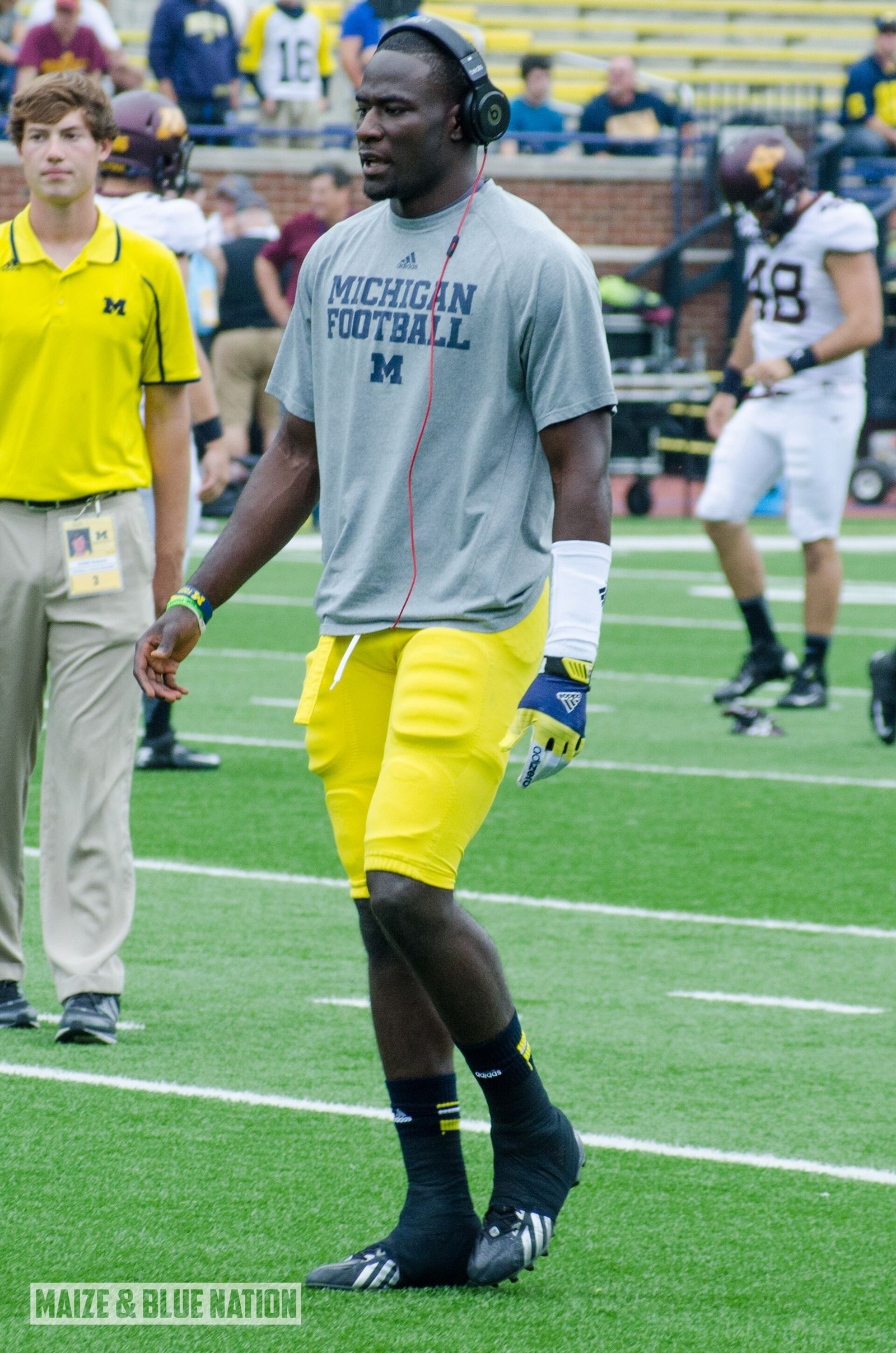 Minnesota at Michigan, 2013