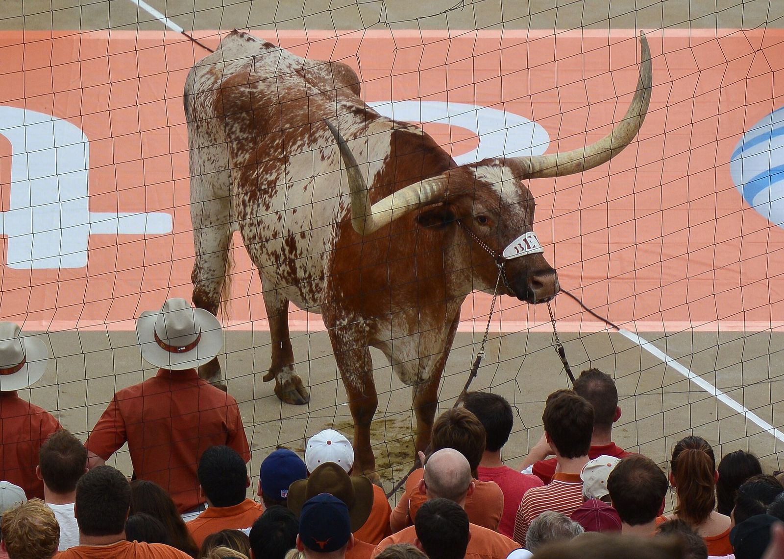 Oklahoma vs. Texas, 2013