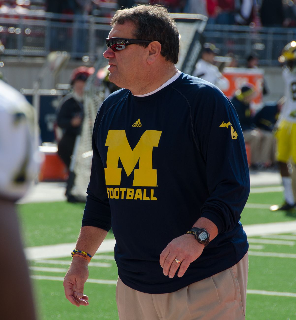 Michigan at Ohio State, 2014