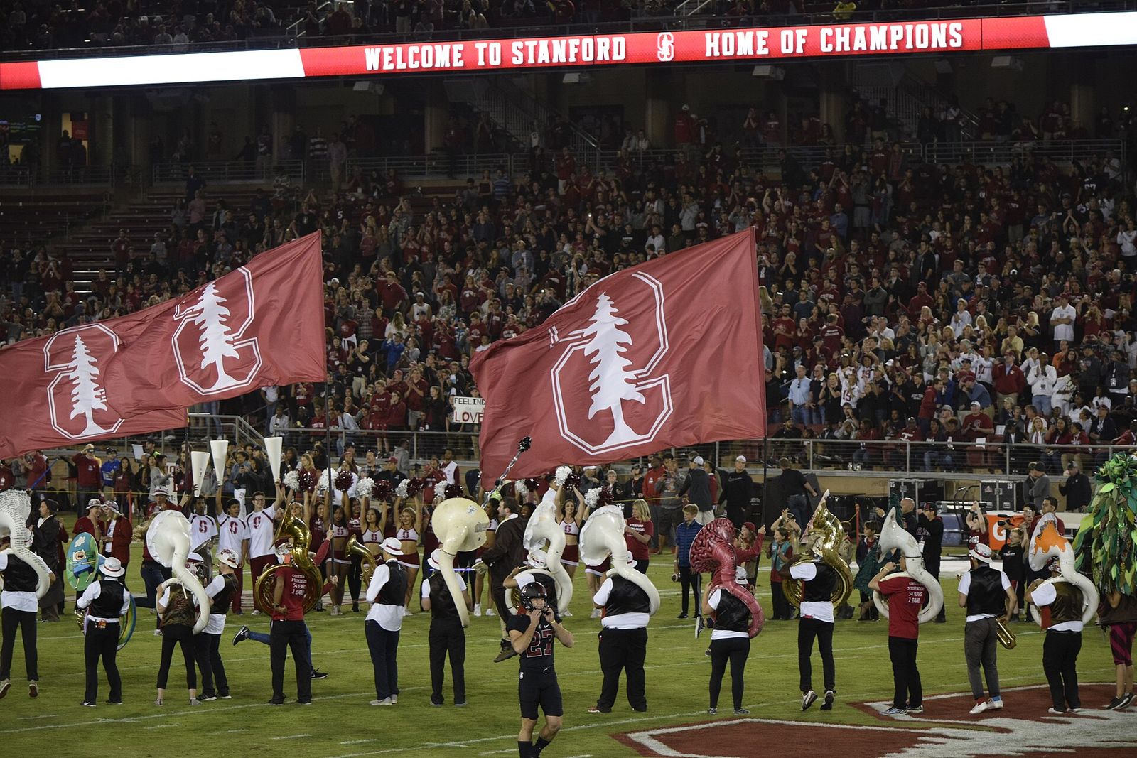 Stanford 49 Oregon 7