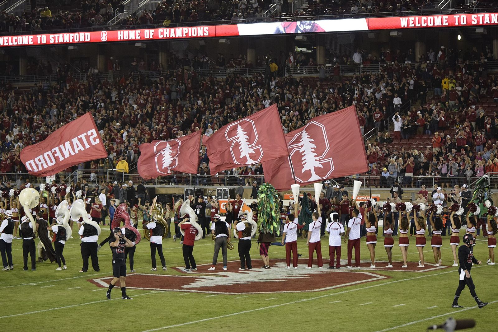 Stanford 49 Oregon 7