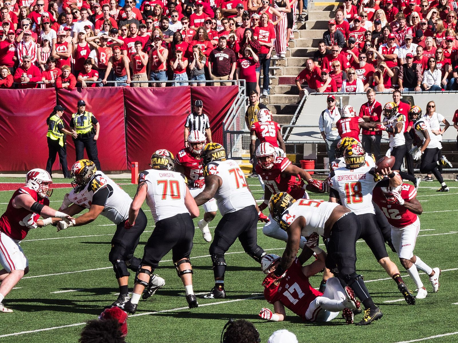 20171021-EM112512-UWvMaryland