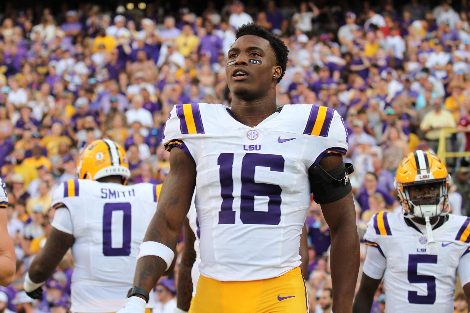 LSU Tigers Football vs Arkansas Razorbacks, Tiger Stadium, September 23, 2023, Tammy Anthony Baker, Photographer @tmabaker @tabinla