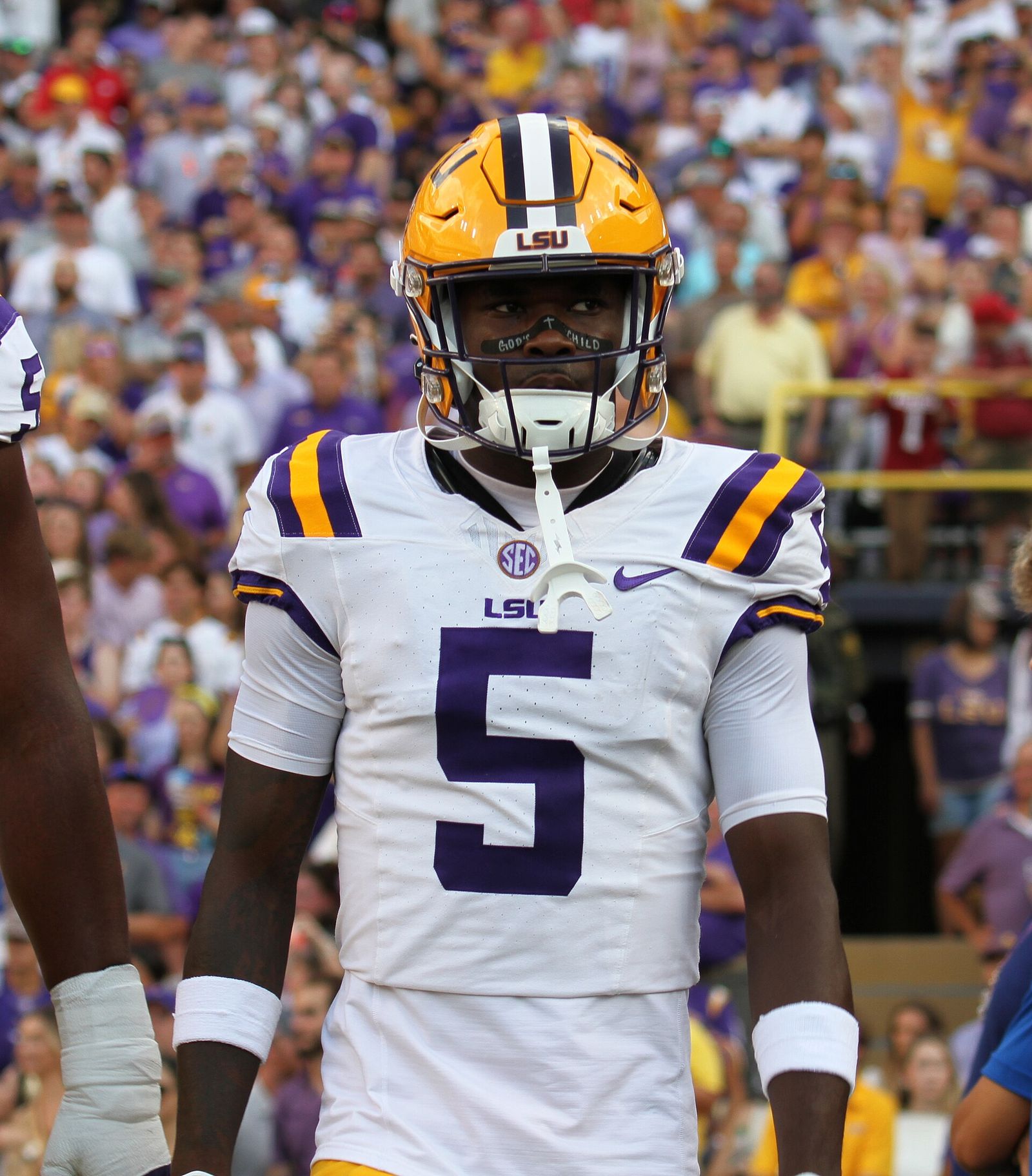 LSU Tigers Football vs Arkansas Razorbacks, Tiger Stadium, September 23, 2023, Tammy Anthony Baker, Photographer @tmabaker @tabinla