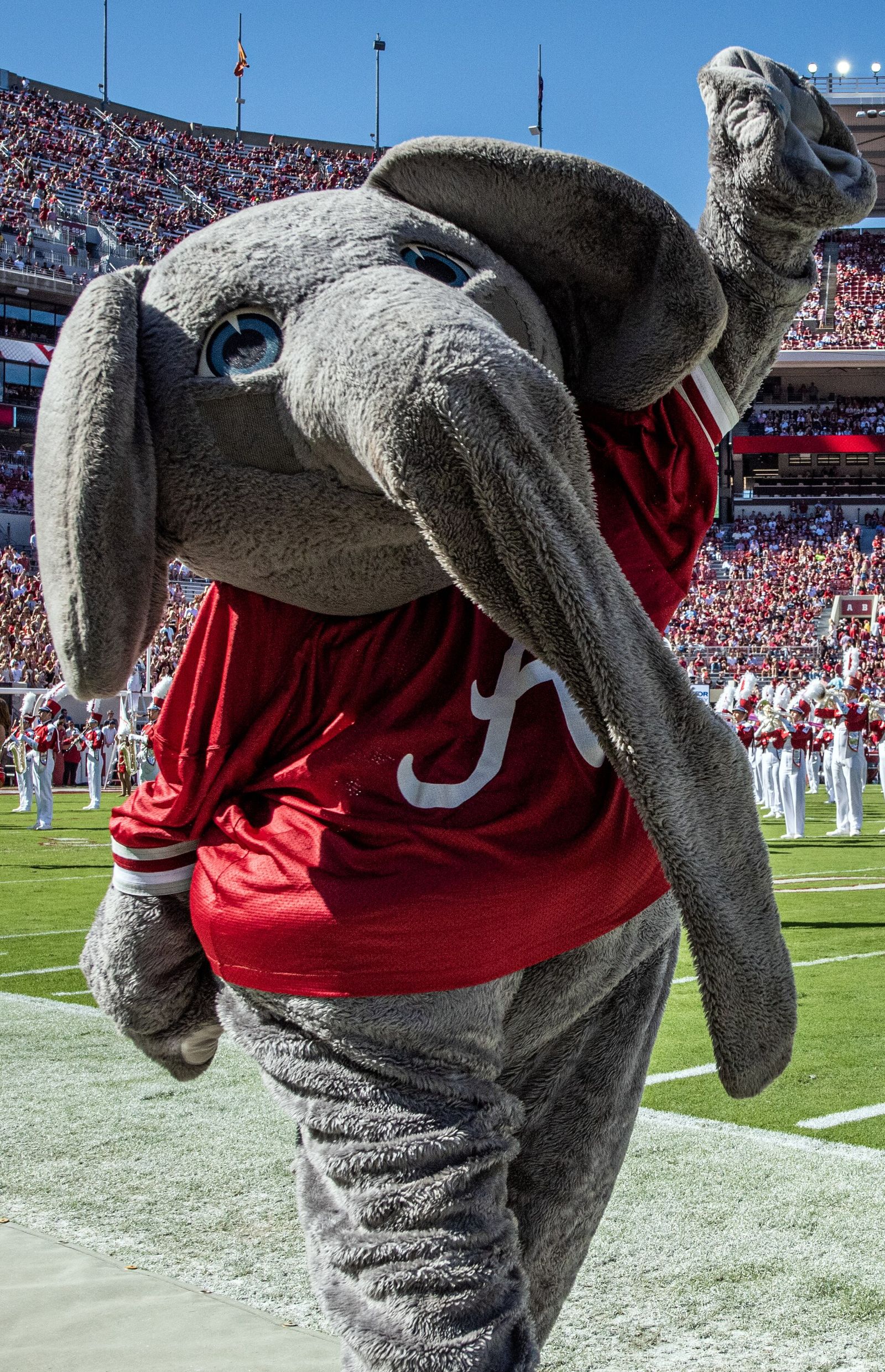 South Carolina at Alabama, 2024