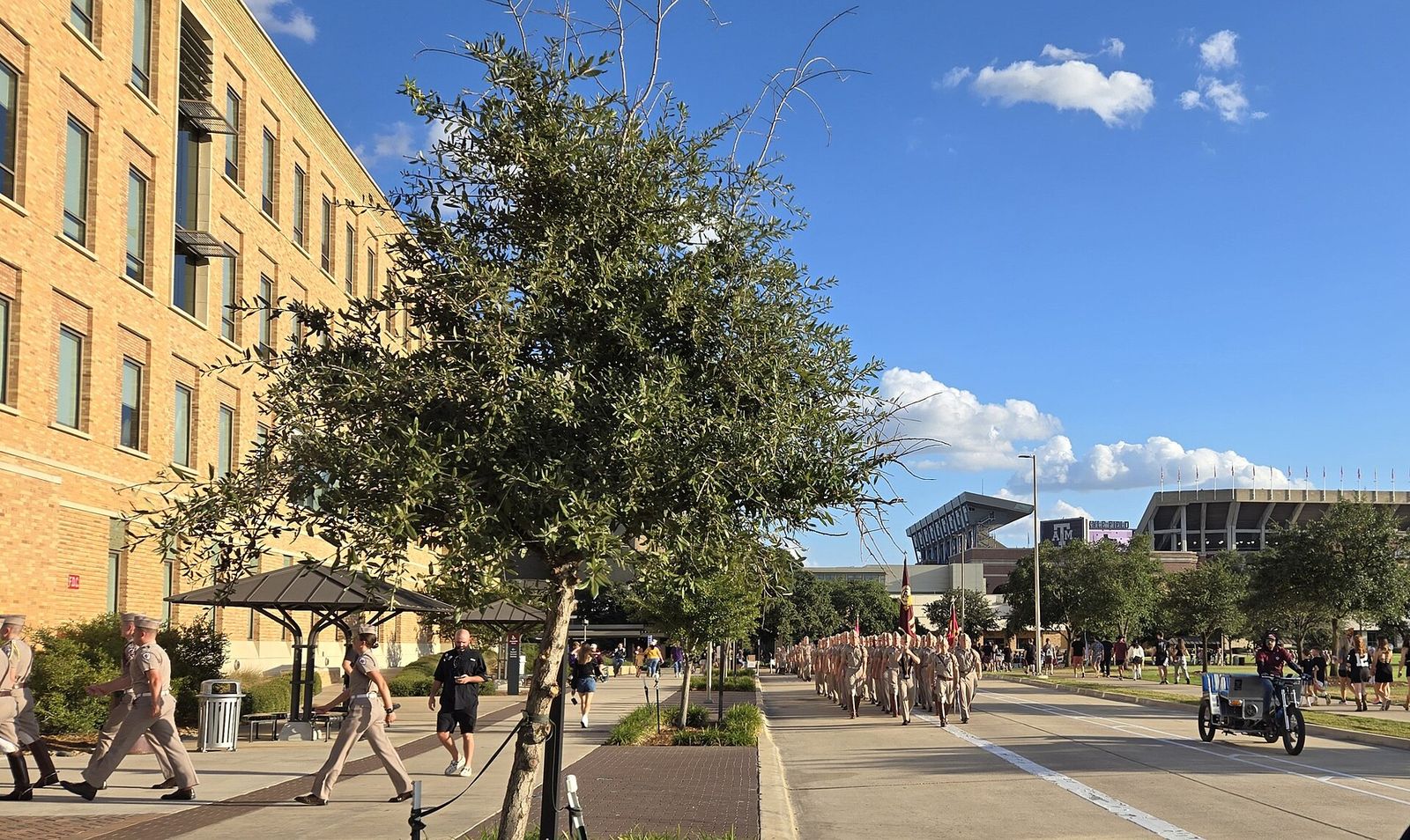 LSU at Texas A&M, 2024