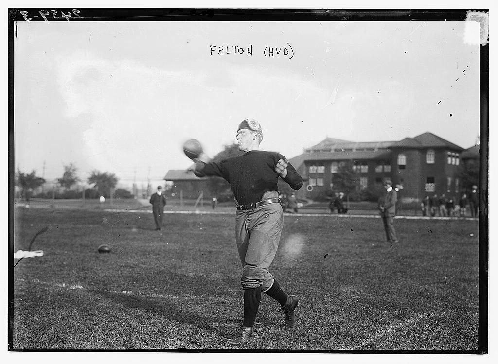 Gardner and Felton, Harvard