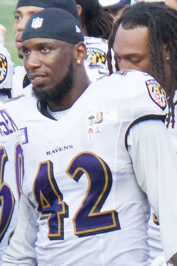 Nigel Carr, 2013