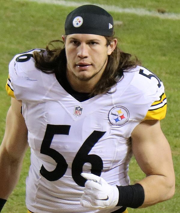 Anthony Chickillo in the NFL