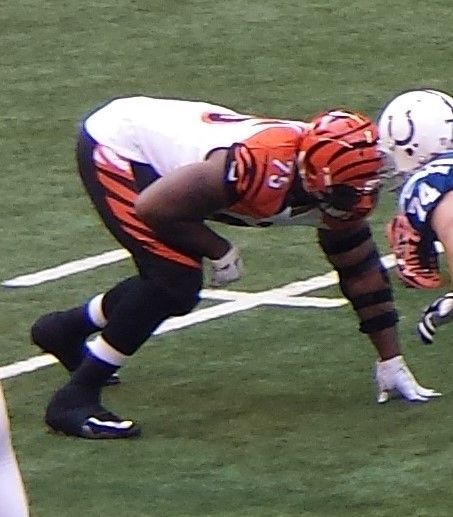 Devon Still in the NFL