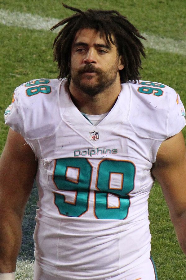 Jared Odrick with the Miami Dolphins, 2014