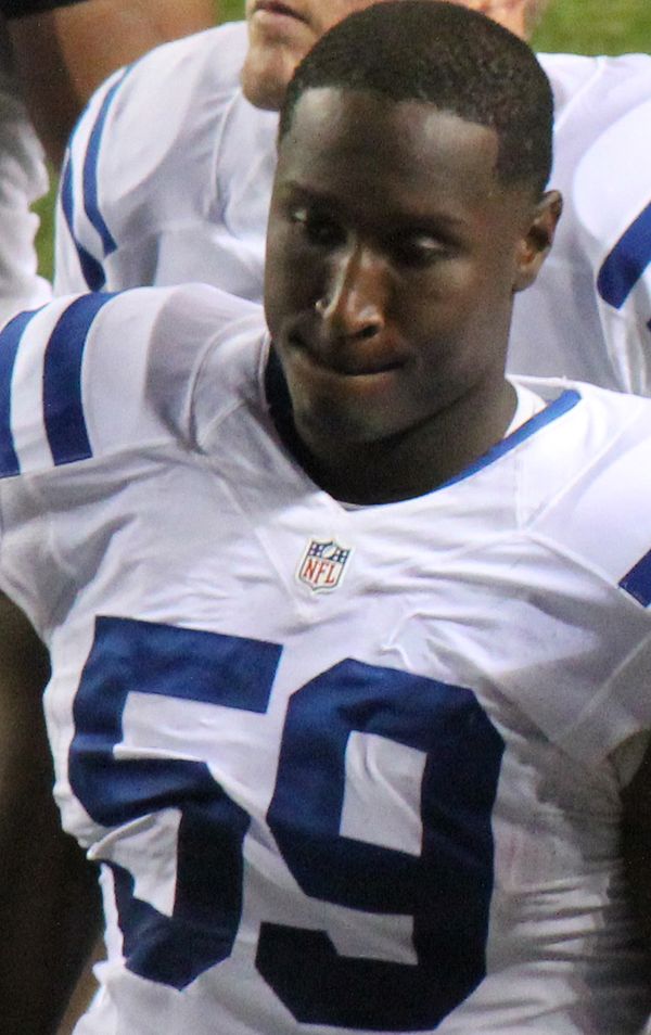 Cam Johnson in the NFL, 2014