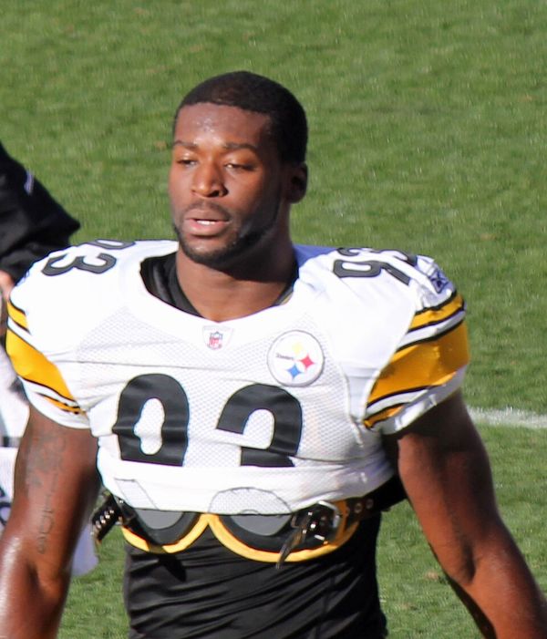 Jason Worilds in the NFL