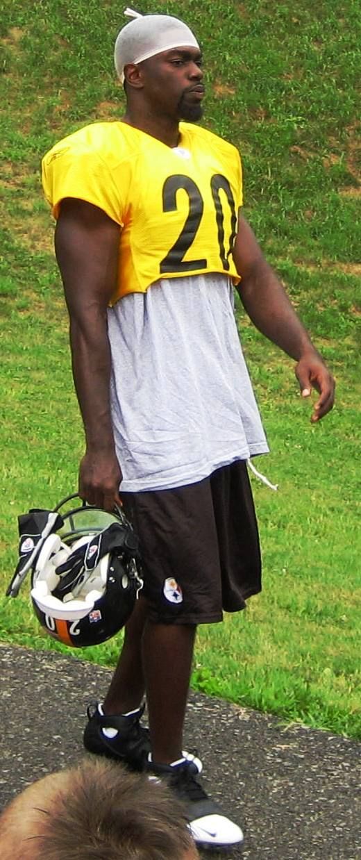 Bryant McFadden in the NFL