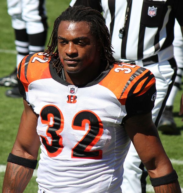 Cedric Benson in the NFL