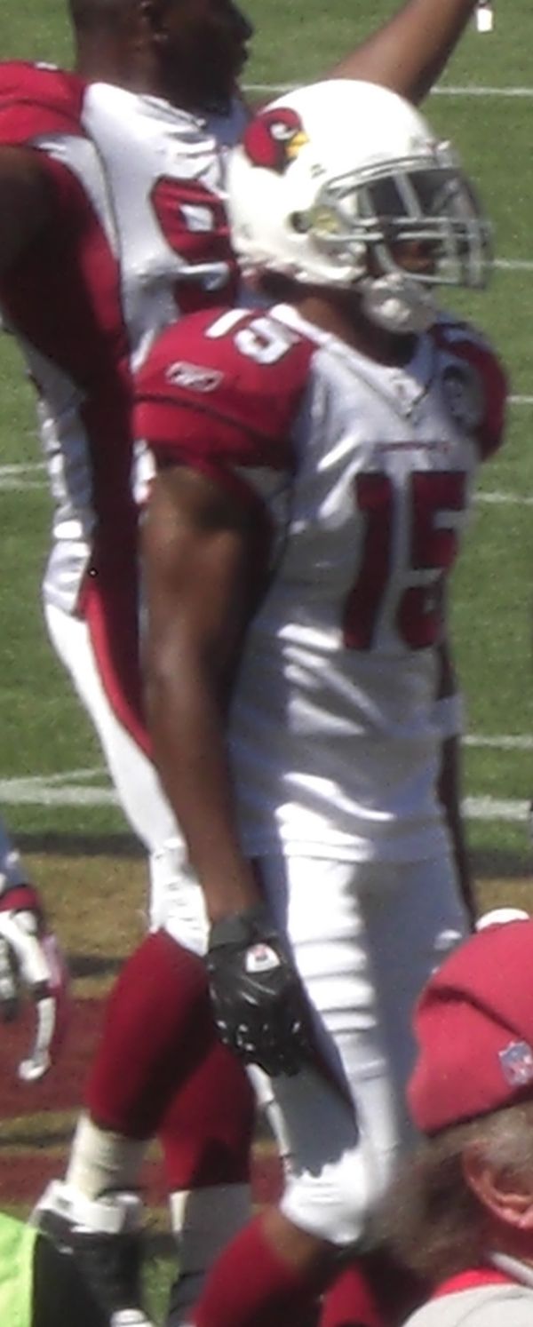 Steve Breaston in the NFL