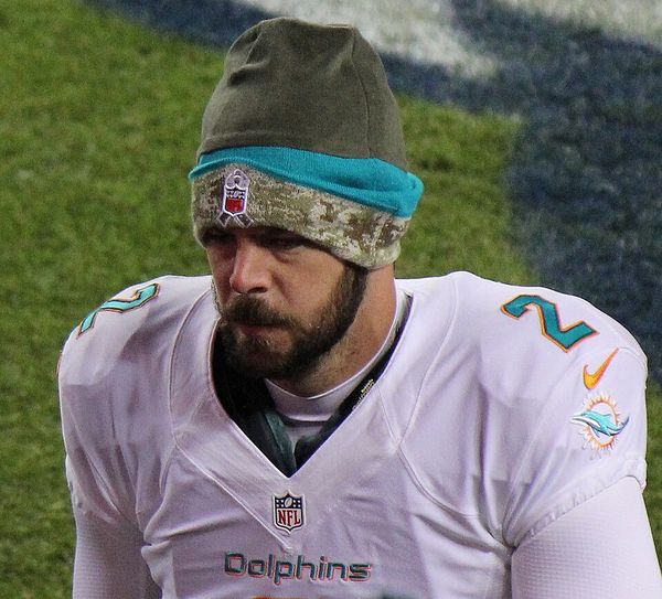 Brandon Fields with the Miami Dolphins, 2014