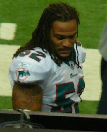 Channing Crowder in the NFL