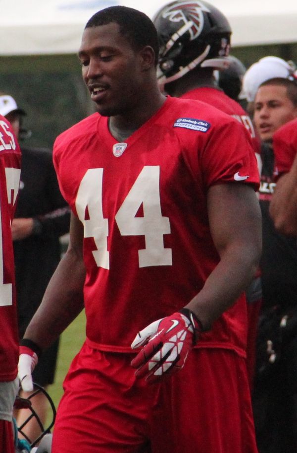 Jason Snelling with the Atlanta Falcons, 2013