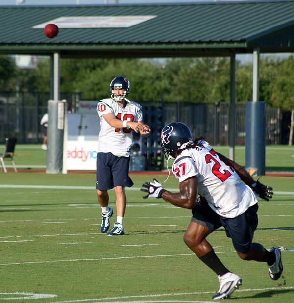 Chris Henry with the Houston Texans