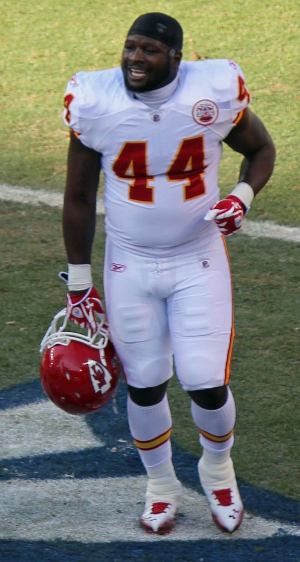 Le'Ron McClain in the NFL