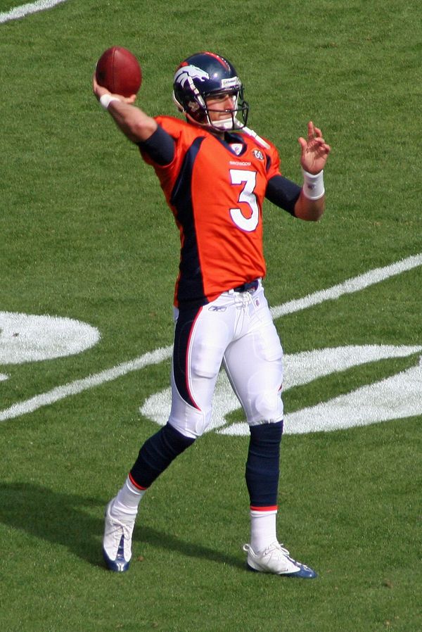 Tom Brandstater in the NFL