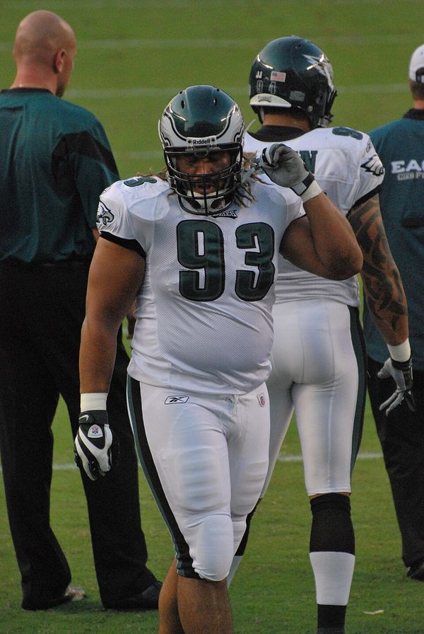 Trevor Laws in the NFL