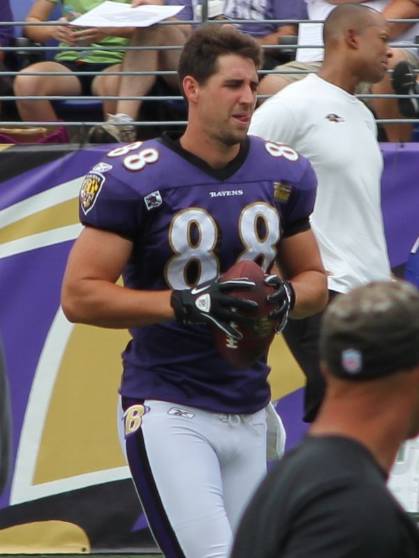 Dennis Pitta with the Baltimore Ravens, 2011