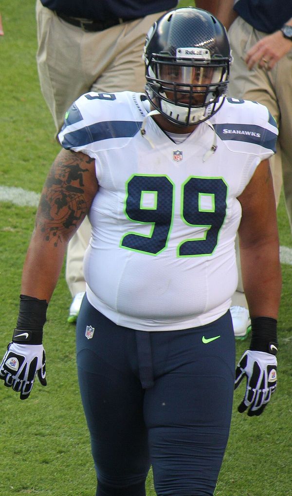 Alan Branch in the NFL