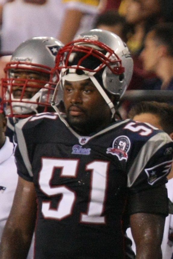 Jerod Mayo in the NFL