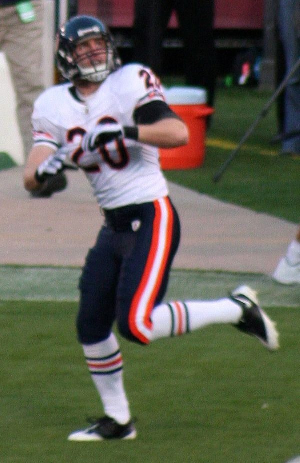 Craig Steltz in the NFL
