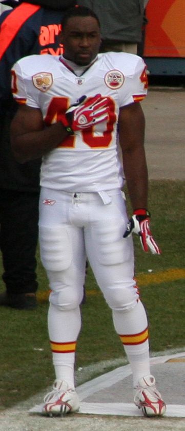 Javarris Williams in the NFL