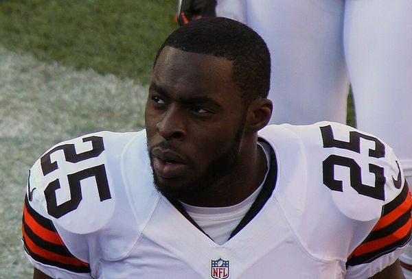 Chris Ogbonnaya in the NFL