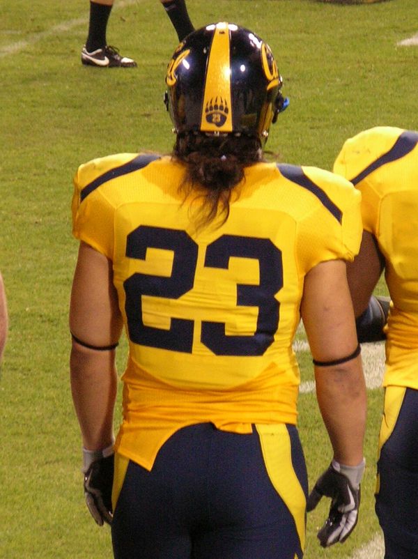 Will Ta'ufo'ou at California, 2008