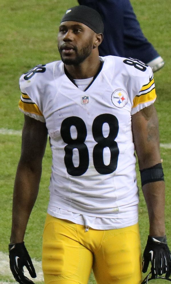 Darrius Heyward-Bey with the Pittsburgh Steelers, 2016