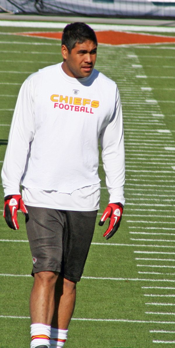 Tony Moeaki in the NFL