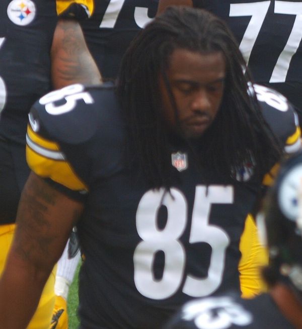 David Johnson with the Pittsburgh Steelers