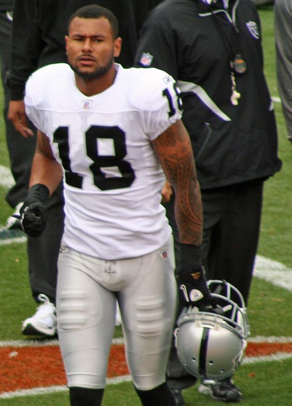 Louis Murphy in the NFL